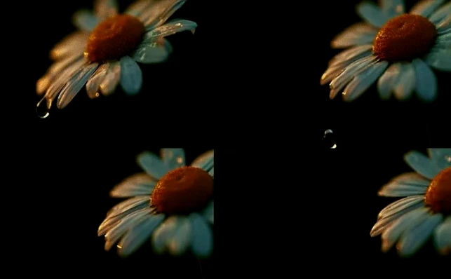 30句热血青春励志箴言：少年意气，挥斥方遒